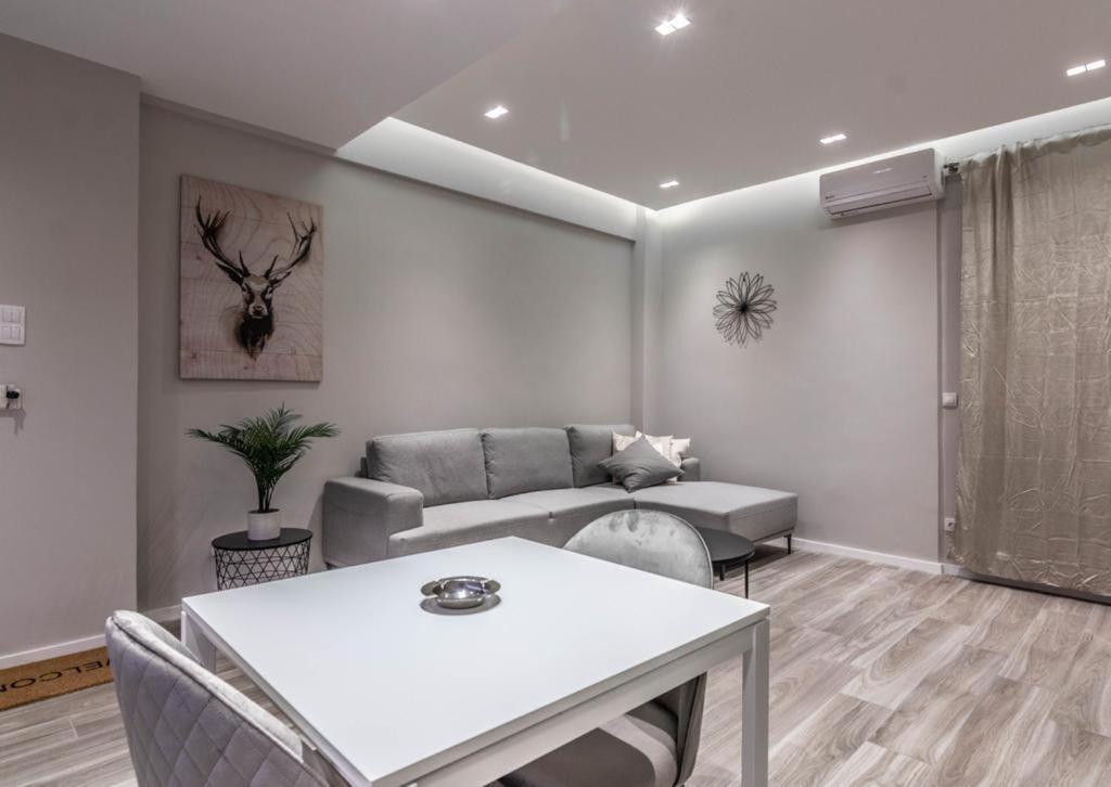 Perfect Choice Center Of Athens Apartment ภายนอก รูปภาพ